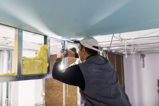 Best Spray Foam Insulation in Lyndon, KS