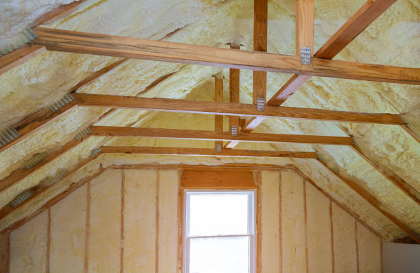 Best Spray Foam Insulation in Lyndon, KS