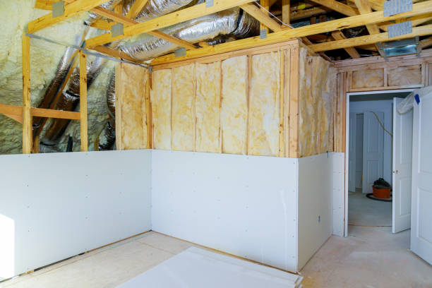 Best Specialized Insulation Services in Lyndon, KS