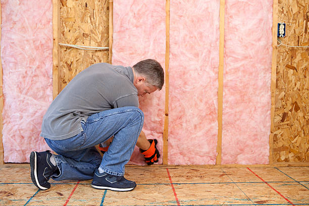 Best Eco-Friendly Insulation in Lyndon, KS