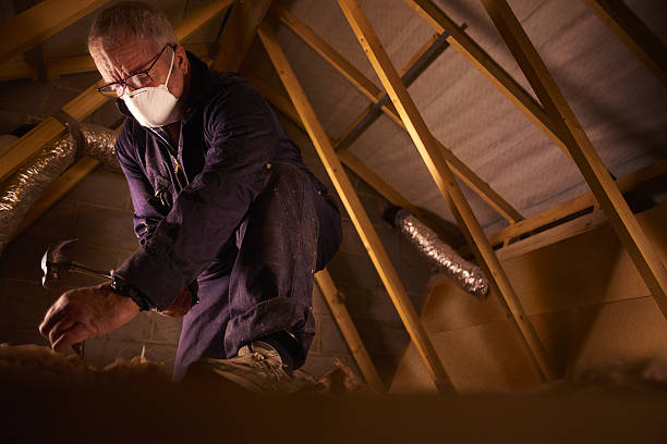 Best Commercial Insulation in Lyndon, KS