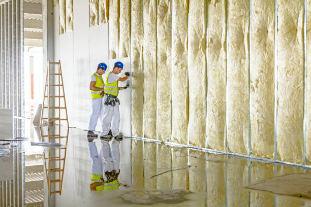 Best Geographic-Specific Insulation Services in Lyndon, KS
